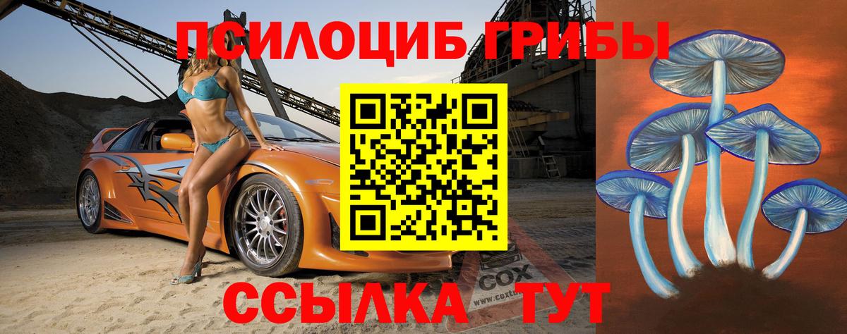 Галлюциногенные грибы прущие грибы  Псилоцибиновые грибы Psilocybe  Вход с VPN  Лениногорск 